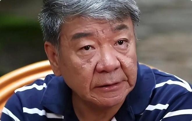 选角檀健次演贾宝玉刘亦菲演薛宝钗瓦力游戏郑晓龙《红楼梦》网友推荐(图6)
