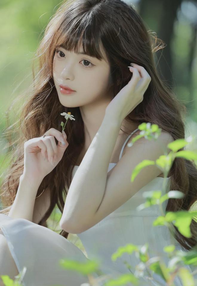 网站IOSAndroid通用版手机app